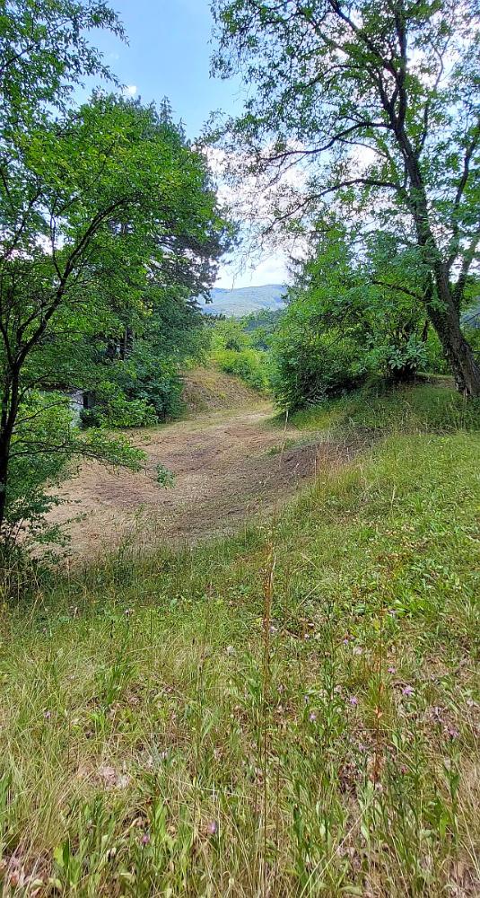 b_Blick talauswärts - VERKAUFT! Private Atmosphäre, verträumte Lage in der Nähe Wiens: Klosterneuburg-Weidling