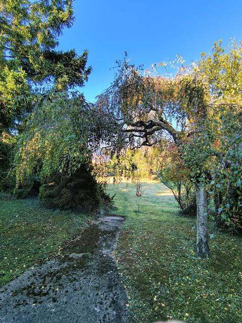 r Garten - 2380 Perchtoldsdorf/Nähe Wiener Stadtgrenze: Ruhig gelegenes, sonniges 1020m² Grundstück mit hohem Potenzial