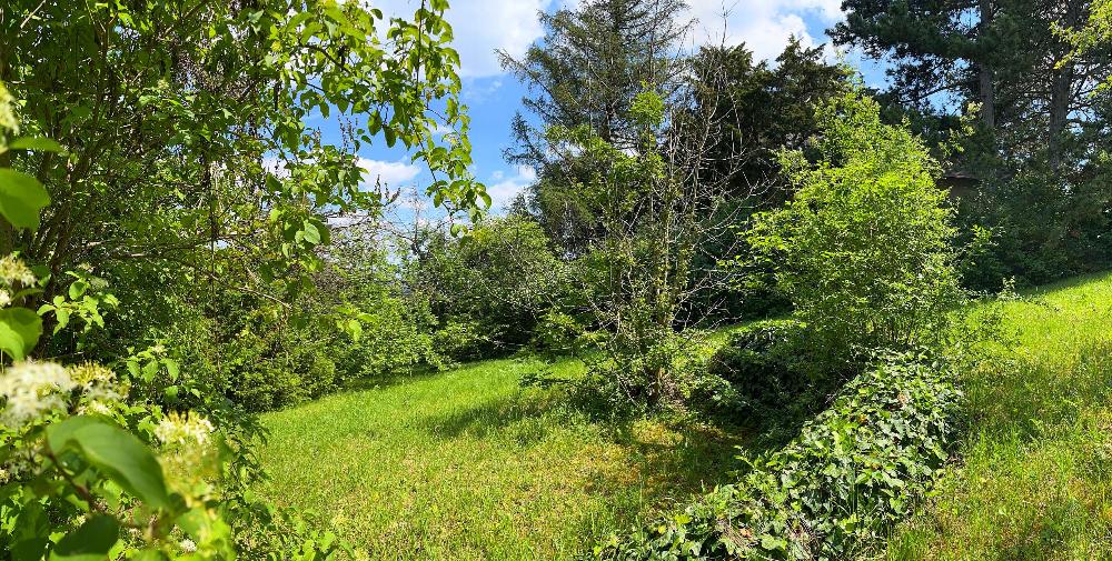 a Grundstück Panorama - Baugrund in Grünruhelage / Sackgasse /Blick über die Donau