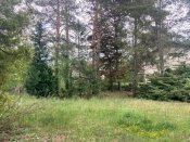 n Garten
