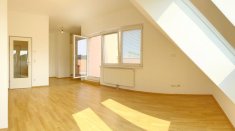 c Wohnküche Panorama
