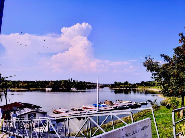 r Umgebung - 3313 Wallsee/Nähe Donau: Sonniges Baugrundstück in sehr guter, ruhiger Lage