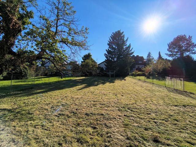 d Grundstück - 2380 Perchtoldsdorf/Nähe Wiener Stadtgrenze: Ruhig gelegenes, sonniges 1020m² Grundstück mit hohem Potenzial