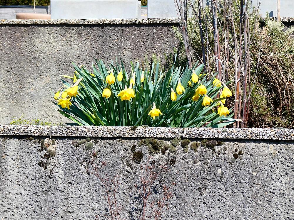 c5 - Maria Gugging: Wohnung in Haus mit großem Garten in Grünlage
