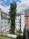 g_Hofblick