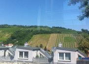 k_Blick Weinberge