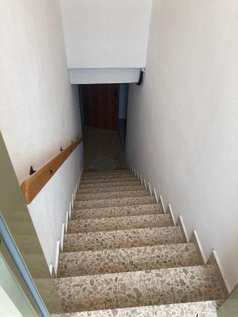 r Kellerabgang - 7322 Lackenbach/Mittelburgenland: Nettes Einfamilienhaus in Grünruhelage – nur 1 Autostunde von Wien