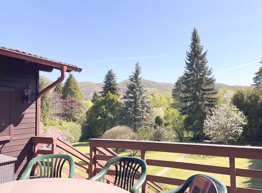 e Terrasse Garten - Badesiedlung Altenberg: Ferienhaus auf großer Freizeitliegenschaft