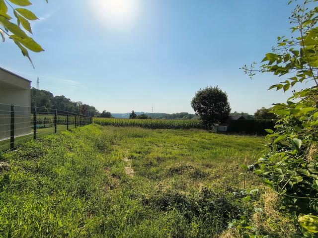 f Grundstück - 3313 Wallsee/Nähe Donau: Sonniges Baugrundstück in sehr guter, ruhiger Lage
