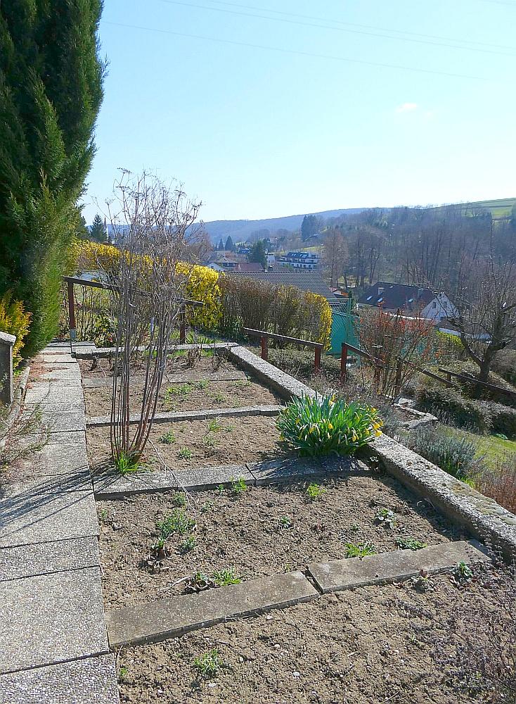 c4 Beet - Maria Gugging: Wohnung in Haus mit großem Garten in Grünlage