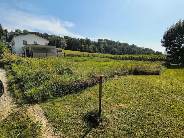 e Grundstück - 3313 Wallsee/Nähe Donau: Sonniges Baugrundstück in sehr guter, ruhiger Lage