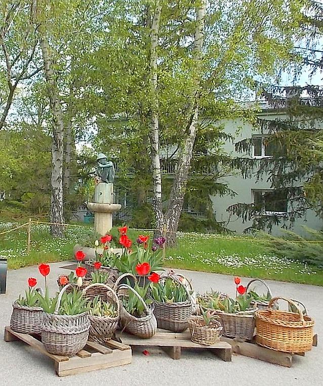 t Gartendetail Wohnhausanlage - Maria Enzersdorf, Rathauspark: Helle 3 Zimmer, beste Infrastruktur, möbliert oder unmöbliert