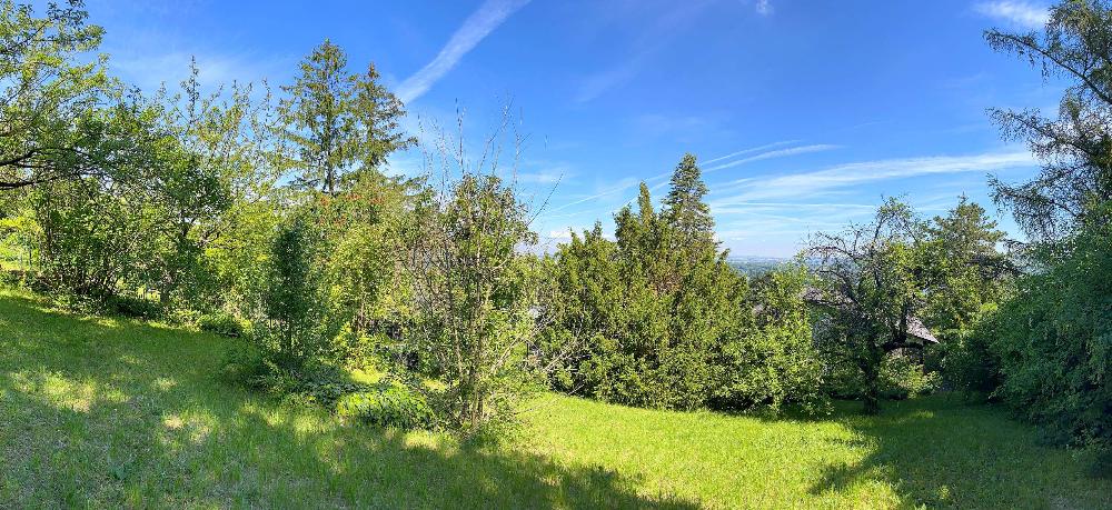 b Grundstück Panorama - Baugrund in Grünruhelage / Sackgasse /Blick über die Donau